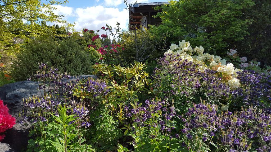 Marie Therese Apartment B&B Lake Tekapo Exterior foto