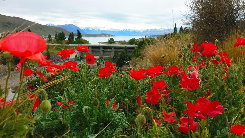 Marie Therese Apartment B&B Lake Tekapo Exterior foto